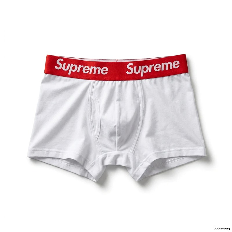 Supreme minimalist style white underwear
